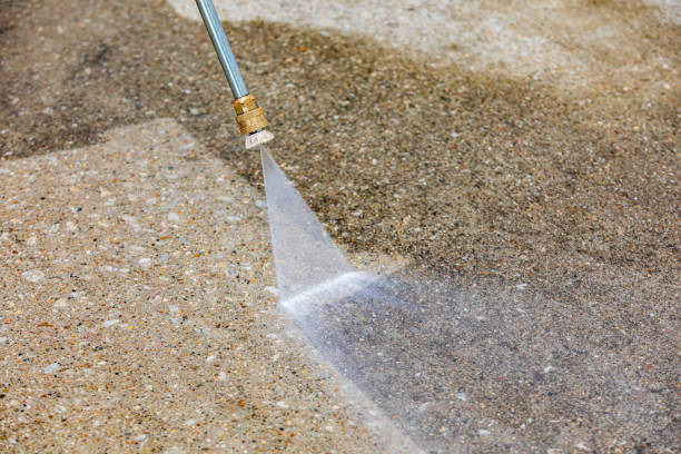 Best Driveway Pressure Washing  in Covington, KY